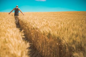 Αγρότες – Φορολογικές Δηλώσεις 2024: Διευκρινίσεις σχετικά με τη χορήγηση βεβαιώσεων εγγραφής στο Μητρώο Αγροτών και Αγροτικών Εκμεταλλεύσεων